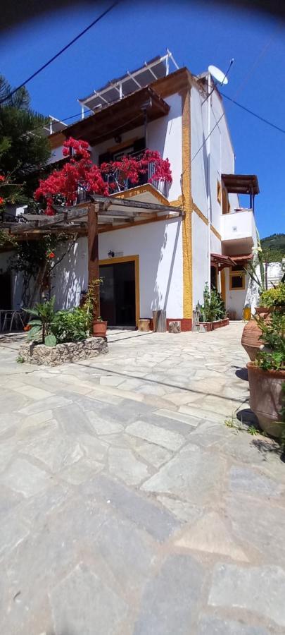 Nikis Apartments Agios Gordios (Corfu) Exterior foto